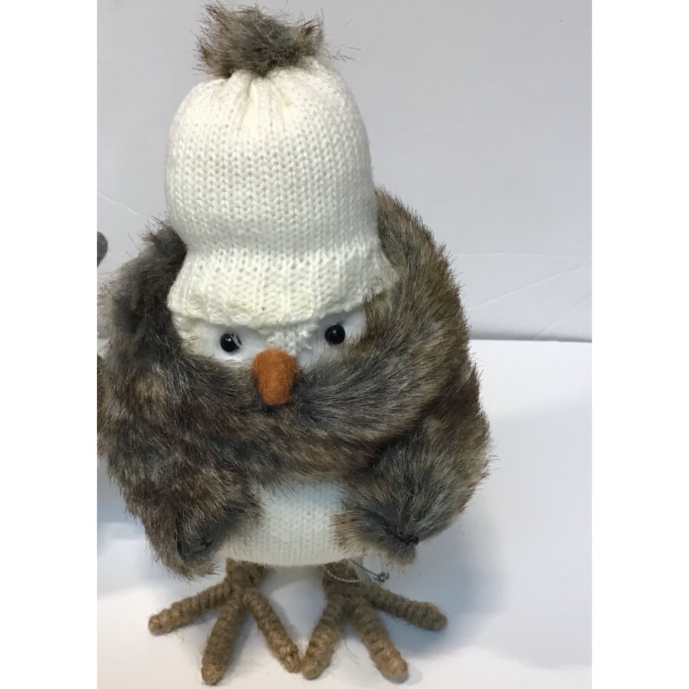 Target 2017 Wondershop Bird SIERRA New